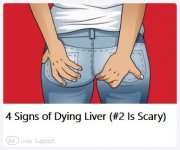 liver.JPG