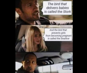 1745505054869.png