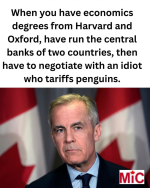 1750073484704.png