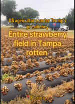 1757159171487.png