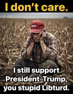 1757160202078.png