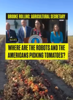 1757381713811.png