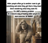 1760126701453.png