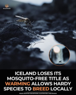 1761163454967.png 1761163454967.png