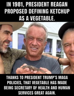 1761439108421.png