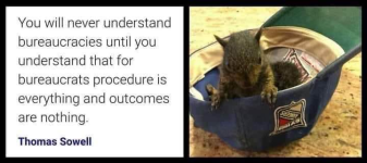 1762170885033.png 1762170885033.png