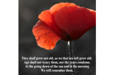 1762869041558.png 1762869041558.png