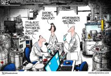 251205fox01.JPG 251205fox01.JPG