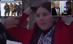 1767703031537.png 1767703031537.png