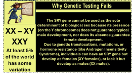 1774701593542.png 1774701593542.png