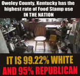 1774956883979.png 1774956883979.png