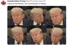 1777578109641.png