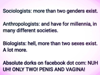 1786105034334.png 1786105034334.png