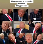1786447668515.png