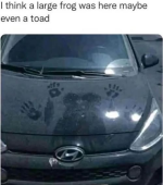 1787233319002.png