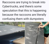 1788828825153.png