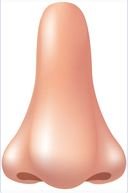 nose02.JPG
