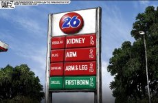 260922fox1.JPG