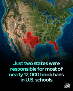 1791388286054.png
